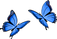 icon Butterfly Art sticker blue butterfly w1c3m